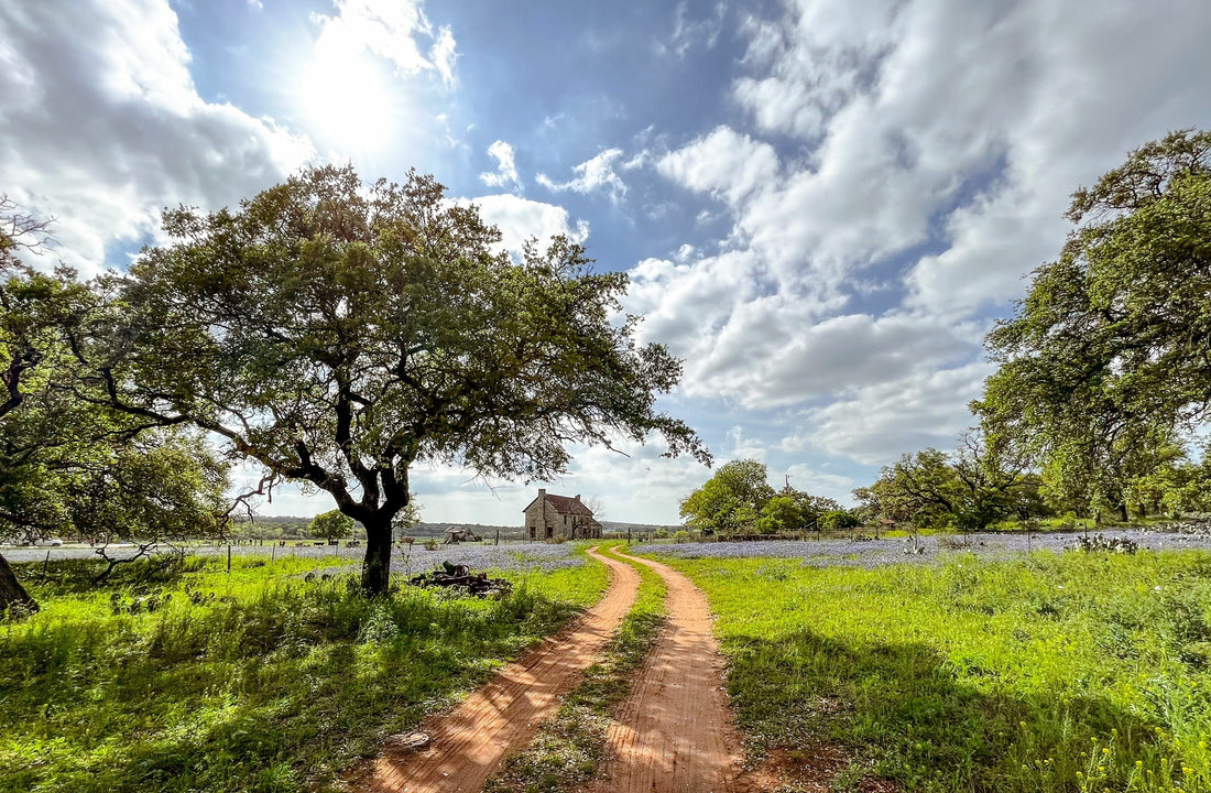 Scents of the South: The Fragrances That Define Texas