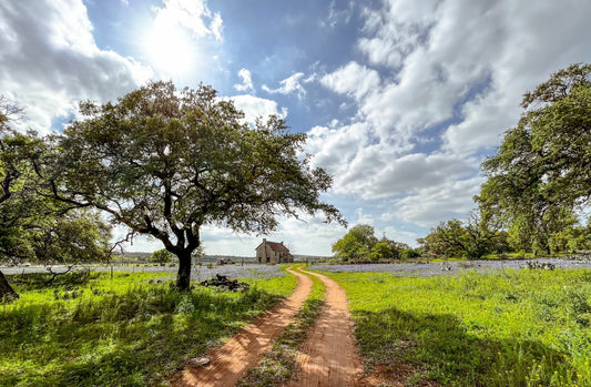 Scents of the South: The Fragrances That Define Texas